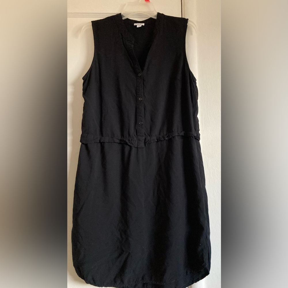 Splendid Black Button-Up Dress